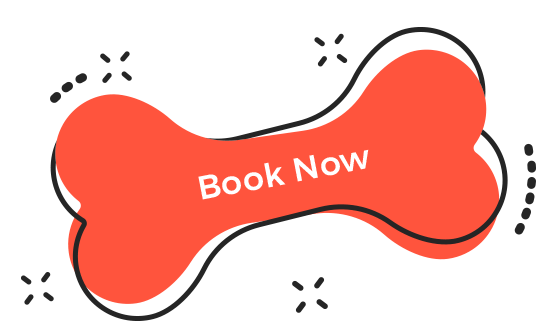 https://poopini.com/wp-content/uploads/2019/08/book_now.png